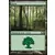 Forêt