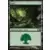 Forêt