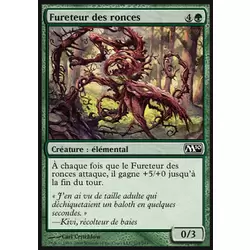 Fureteur des ronces