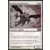 Griffon serres-rasoir // Griffon trancheserre