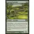 Core Set 2012 (M12) - Crocodile en maraude