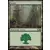 Forêt