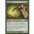 Mage du jade