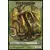 Core Set 2012 (M12) - Saprobionte