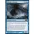 Baleine colossale