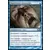 2014 Core Set (M14) - Déprivation sensorielle