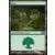 Forêt