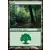 2014 Core Set (M14) - Forêt