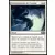 2014 Core Set (M14) - Frémissements de l\'essaim