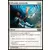 2014 Core Set (M14) - Offrande solennelle
