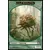 2014 Core Set (M14) - Saprobionte