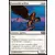 Sentinelle griffon