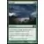 2014 Core Set (M14) - Trombe
