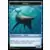 Baleine