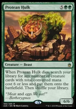 Masters 25 - Carcasse protéenne