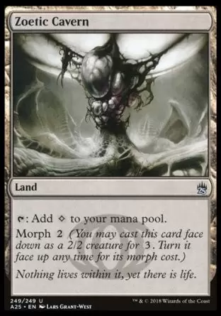 Masters 25 - Caverne zoécite