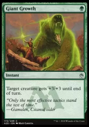 Masters 25 - Croissance gigantesque