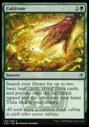 Masters 25 - Culture