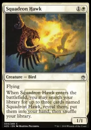 Masters 25 - Faucon d\'escadron