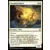Masters 25 - Faucon d\'escadron