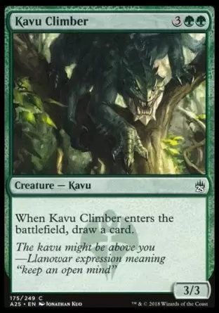 Masters 25 - Kavru grimpeur