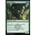 Masters 25 - Kavru grimpeur