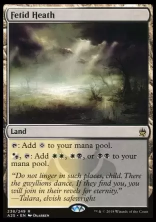 Masters 25 - Lande fétide