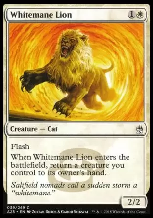 Masters 25 - Lion à crinière blanche