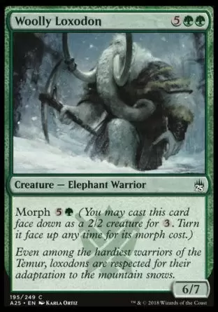 Masters 25 - Loxodon laineux