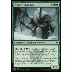 Loxodon laineux
