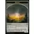 Masters 25 - Mue