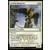 Protecteur griffon