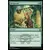 Masters 25 - Revigoration