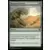 Modern Masters 2015 - Rampant Growth