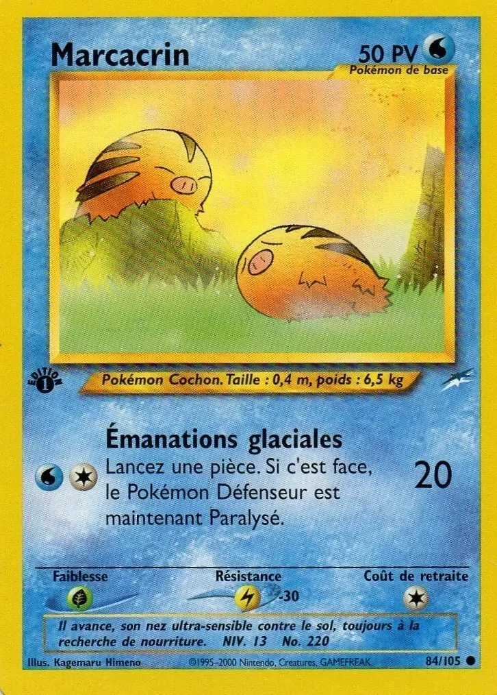 Neo Destiny - Marcacrin édition 1