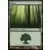 Forêt