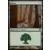 Forêt