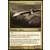 Renaissance d\'Alara - Faucons coursiers