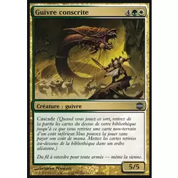 Guivre conscrite