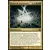 Nexus du Maelstrom