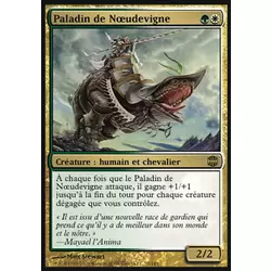 Paladin de Noeudevigne