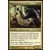 Séjourneurs de Grixis