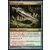 Tueur de mage
