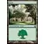 Retour sur Ravnica - Forêt