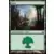 Forêt