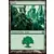 Forêt