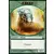 Retour sur Ravnica - Guivre