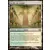 Retour sur Ravnica - Jardin du temple