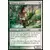 Retour sur Ravnica - Militante dryade