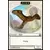 Oiseau